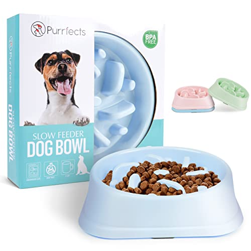 Green Slow Feeder Dog Bowl - Dog Slow Feeder - Company Of Animals UK