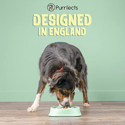 Why You Should Consider A Slow-Feed Bowl For Your Dog